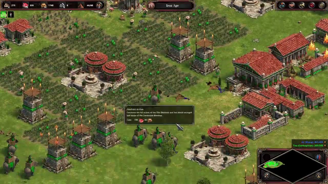 AOE DE - Carthage vs Shang: Hardest AI & Max game speed