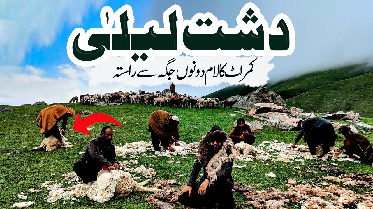 Hidden Meadows of Swat | Dasht e Laila Badgoi top | most beautiful places of Pakistan
