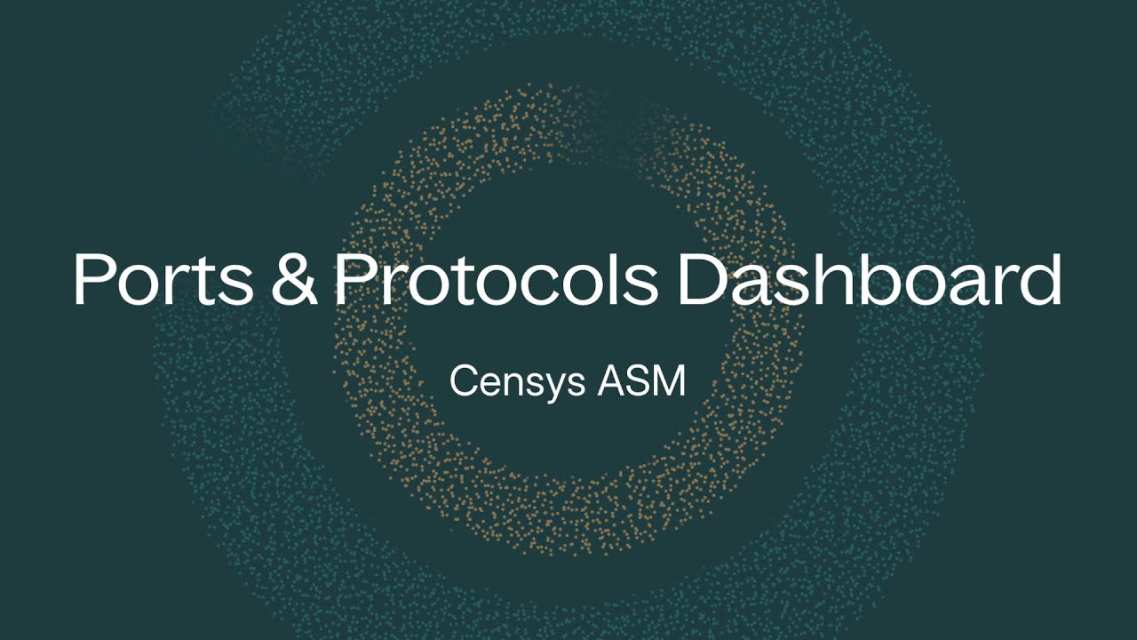 Ports & Protocols Dashboard in Censys ASM