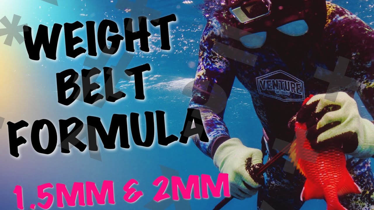 Weight Belt Formula For 1.5MM & 2MM Wetsuit - How Much Weight Should You Have On Your Weight Belt?