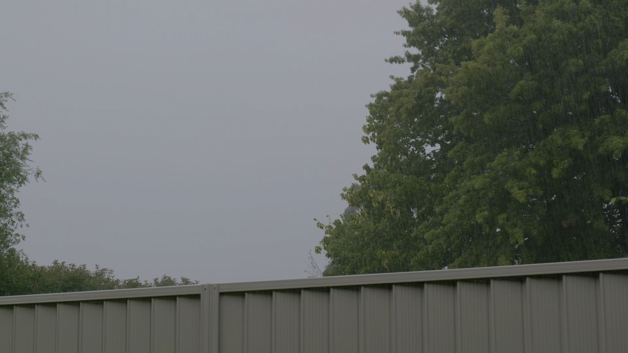 Rain and storm sounds