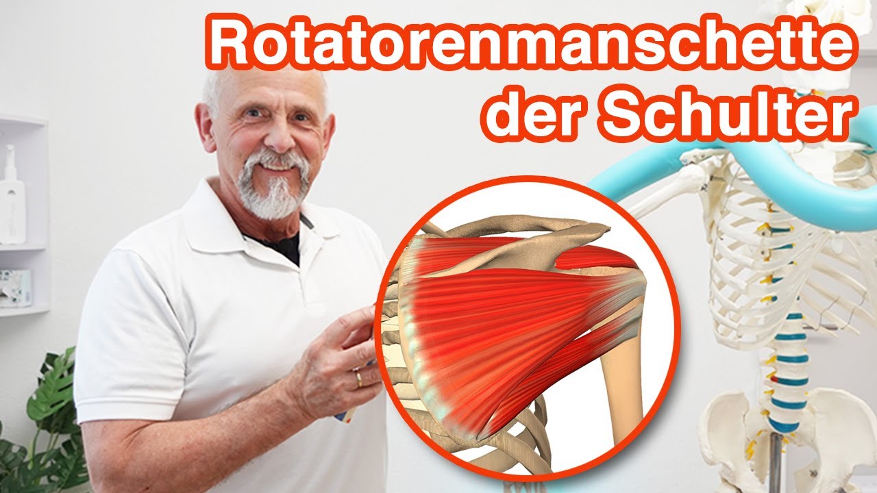 Die Rotatorenmanschette der Schulter ➡️ Anatomie, Aufgaben und Probleme