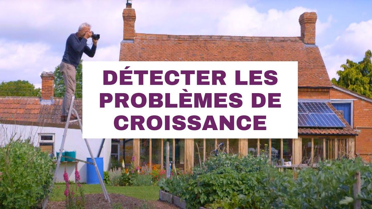 Des Plantes Qui Souffrent ? Solutions Pour Jaunissement Et Croissance Lente