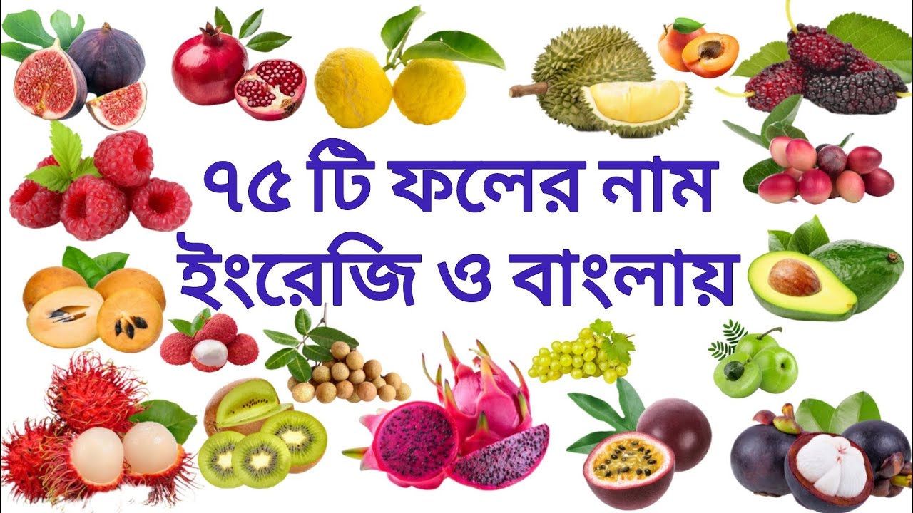 Fruits name I Fruits name in Bengali and English | ফলের নাম বাংলা ও ইংরেজিতে। ফলের নাম I Education |