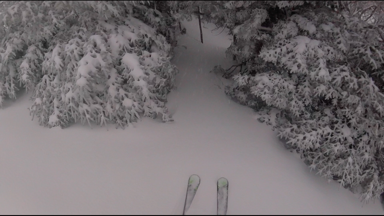 Main Face Glades at Mount Snow, VT