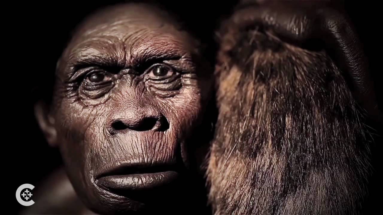 The church on evolution, science