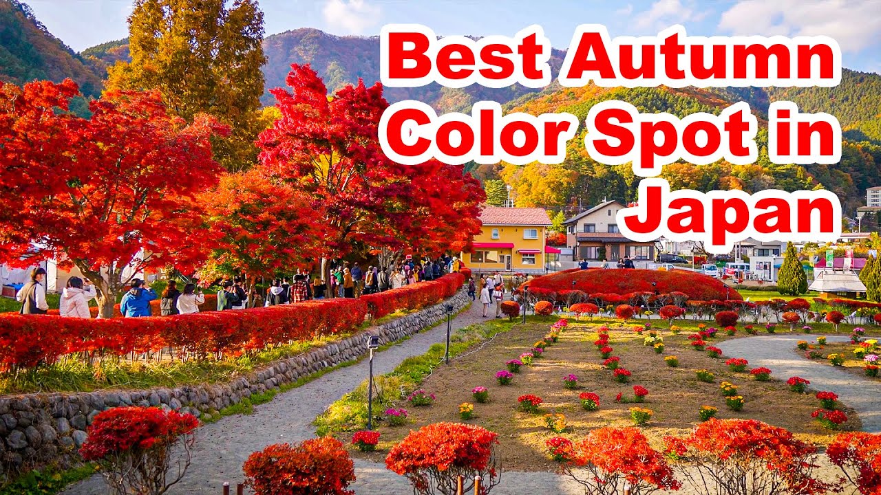Best Autumn Color Spot near Mt. Fuji - Japan Walking Tour 2022