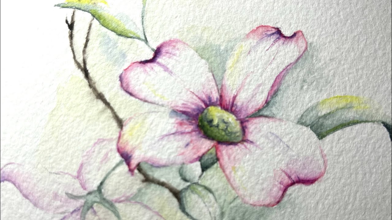 Watercolor dogwood flowers demo tutorial paint along