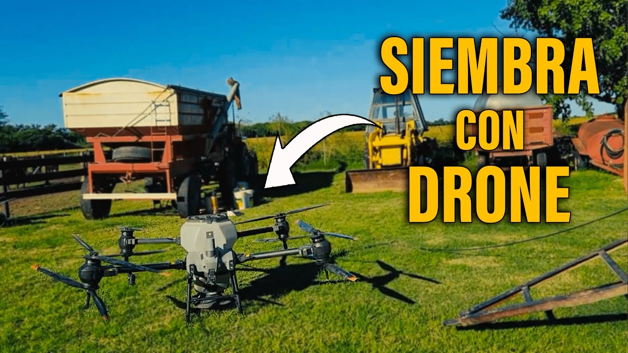 SIEMBRA de AVENA con DRONE - CAMPO ARGENTINO