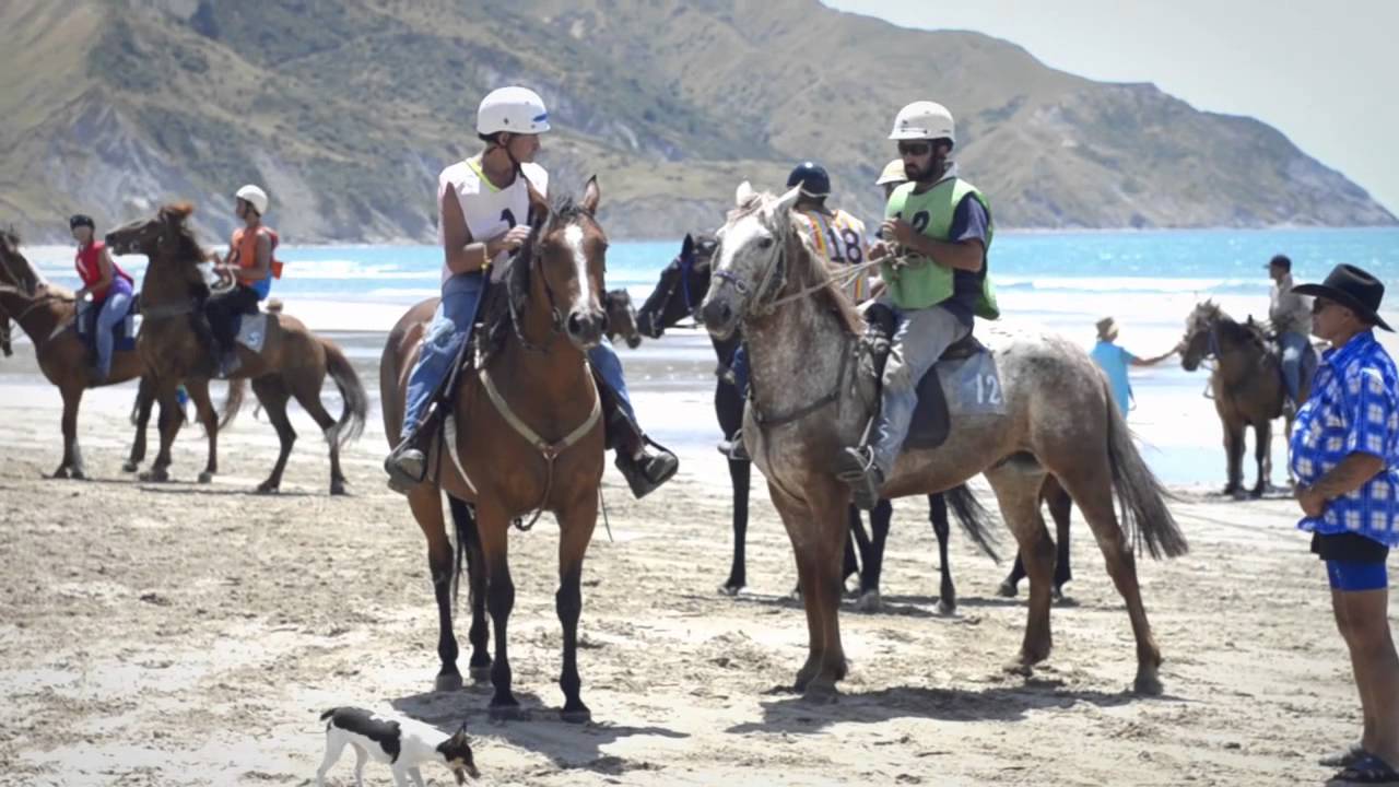 Tolaga Bay Beach Races 2015