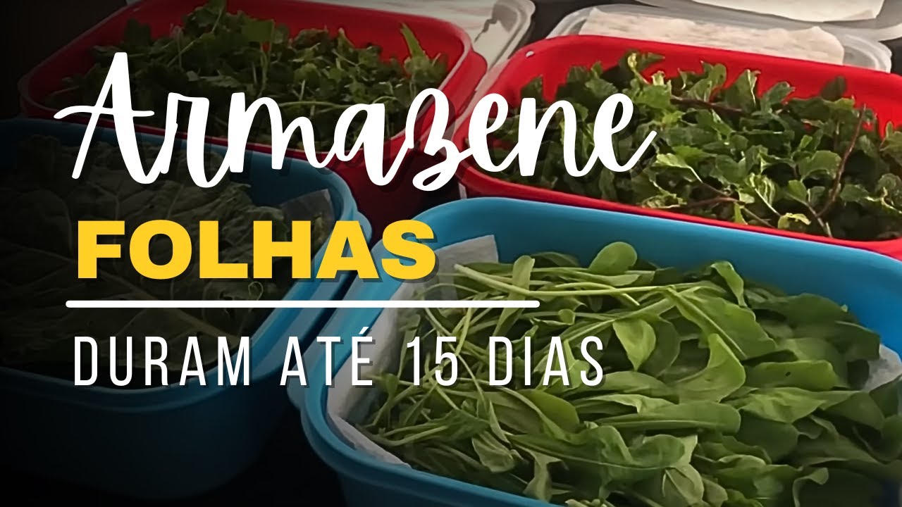 COMO CONSERVAR FOLHAS NA GELADEIRA - Faça elas durarem até 15 dias!