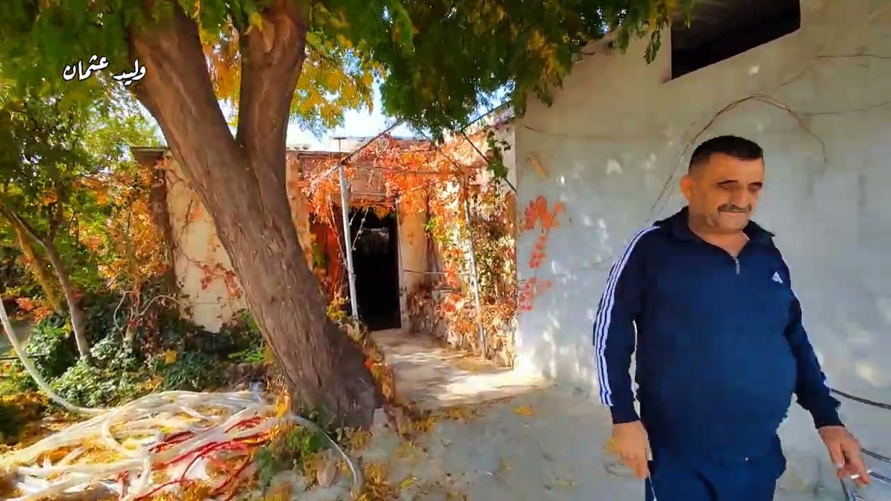 مطعم البحيرة ميدانكي 