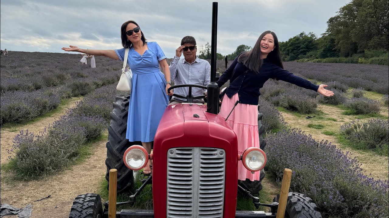 Mayfield Lavender Farm | London | UK | Pabitra Gurung Vlog