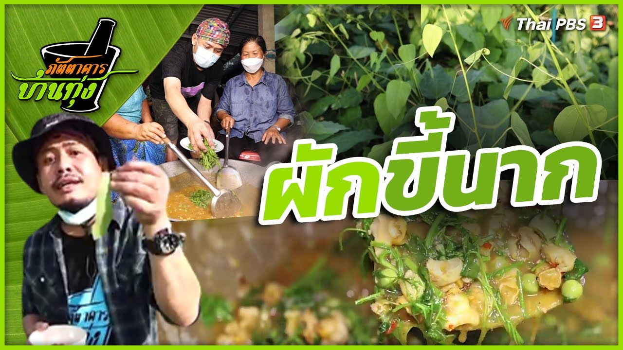 ผักขี้นาก : ภัตตาคารบ้านทุ่ง
