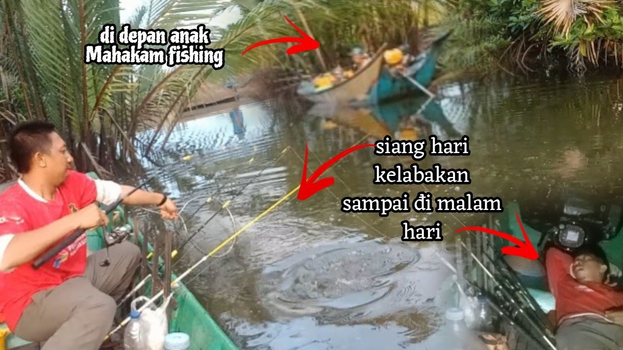 Lagi Lagi Kelabakan,,di depan anak Mahakam fishing saat strike ikan besar #mancing