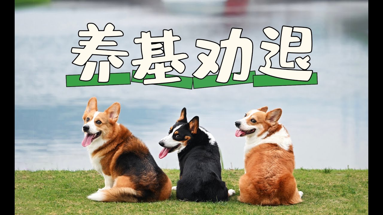 早知道就把瓶盖拿稳一些了