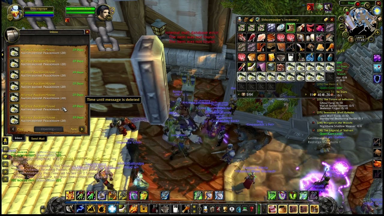 Church of Games Leveling in TBC Anniversary Livestream w/ Duhphatpope0 Ep 11