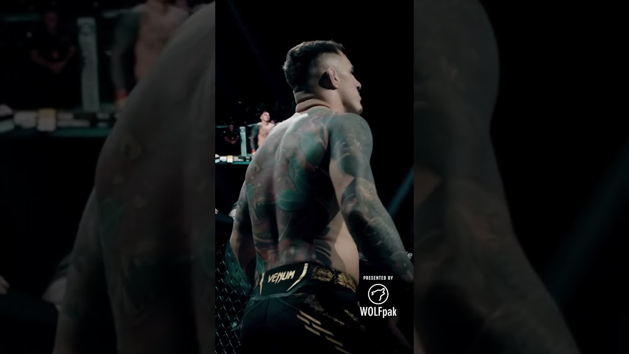 The UFC GOAT 