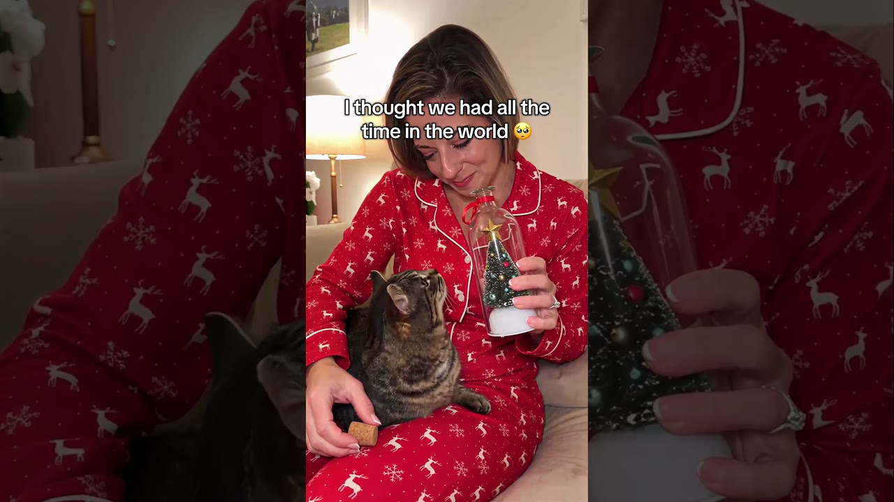 Sentimental Christmas Gift for Cat Moms: Cat Keepsake