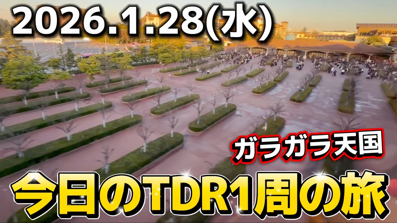 【速報】閑散期で安定の空き具合‼️今日のディズニーリゾート1周の旅【2026.1.28】