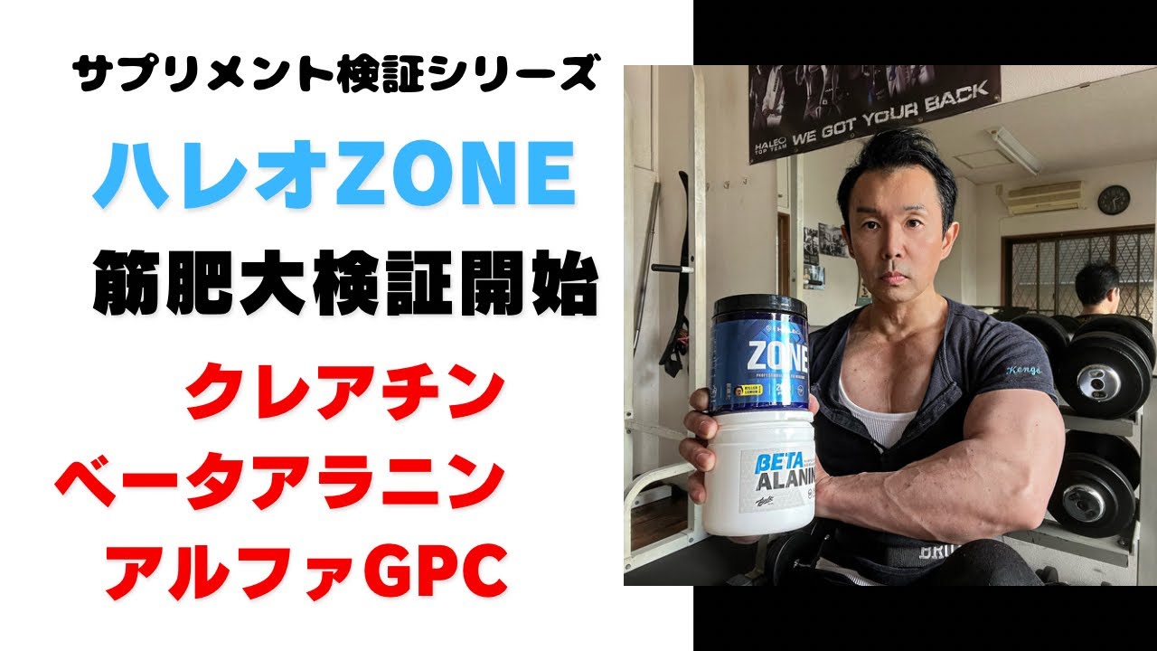サプリメント検証シリーズ！ハレオZONEでサイズアップするのか？検証開始。#筋トレ#サプリメント#ダイエット