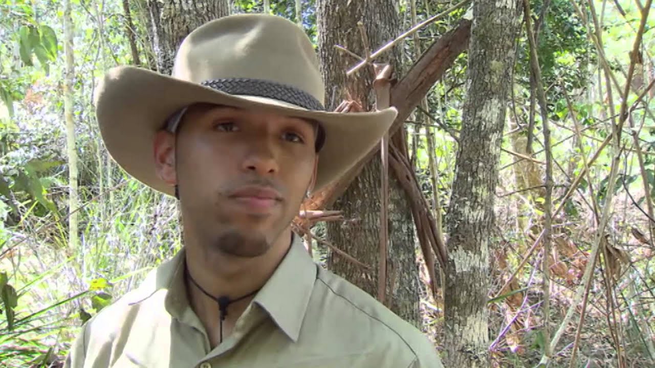 The Boys Crawl | I'm A Celebrity... Get Me Out Of Here!