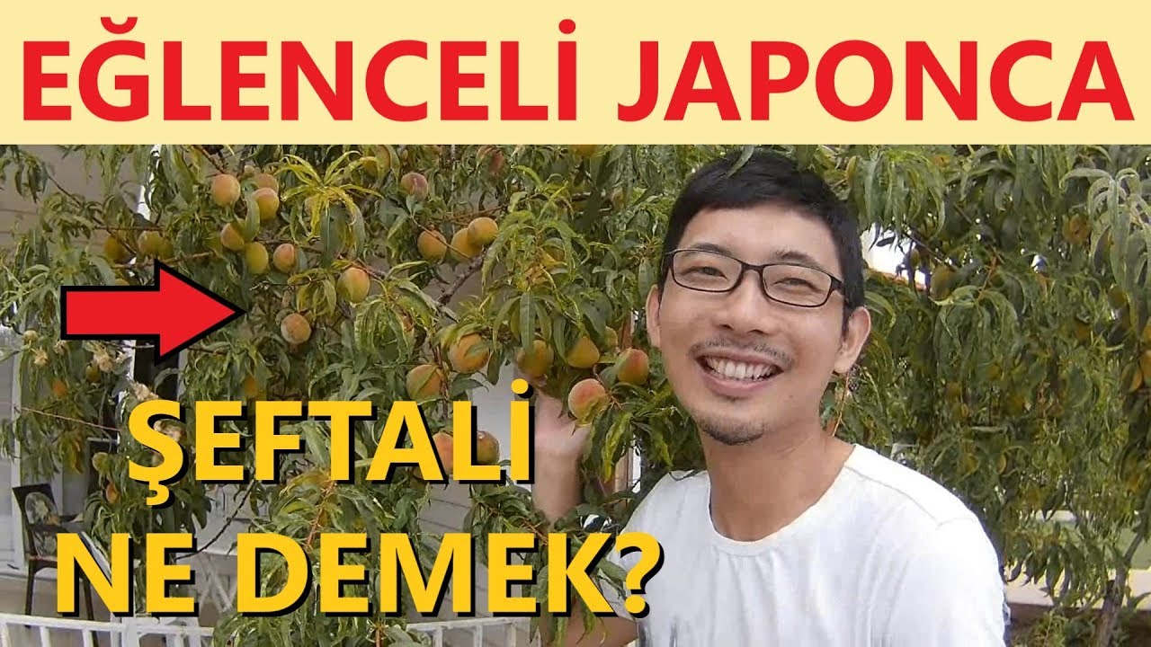 Japonca Kelimeleri &Ouml;ğrettim! (Meyveler, Tekerleme, Bah&ccedil;e) YOSHI JAPONCA #1