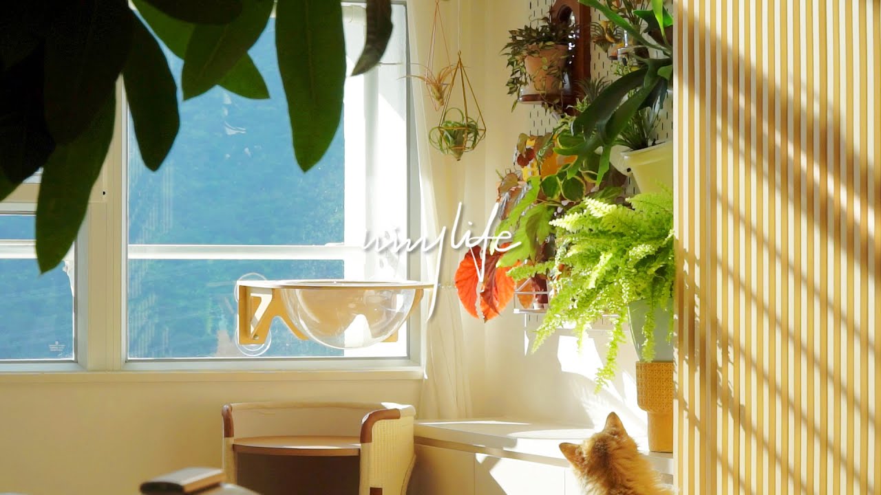 Наслаждаюсь осенью с моим котом 🍂｜Осенняя каша в глиняном горшочке 🍲