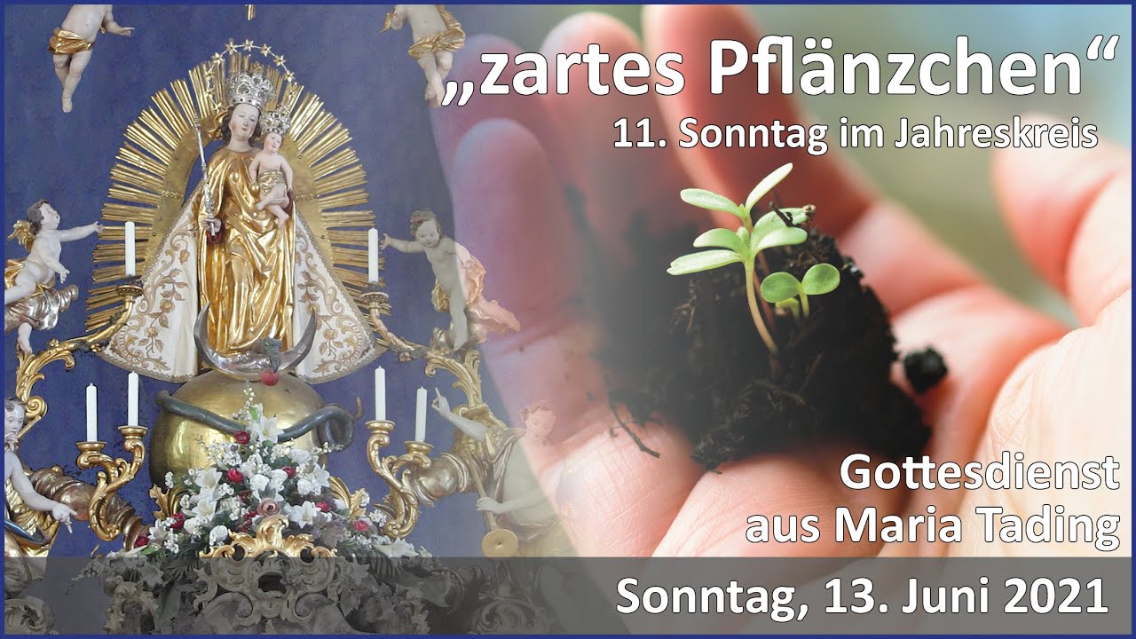 11. Sonntag im Jahreskreis aus Maria Tading