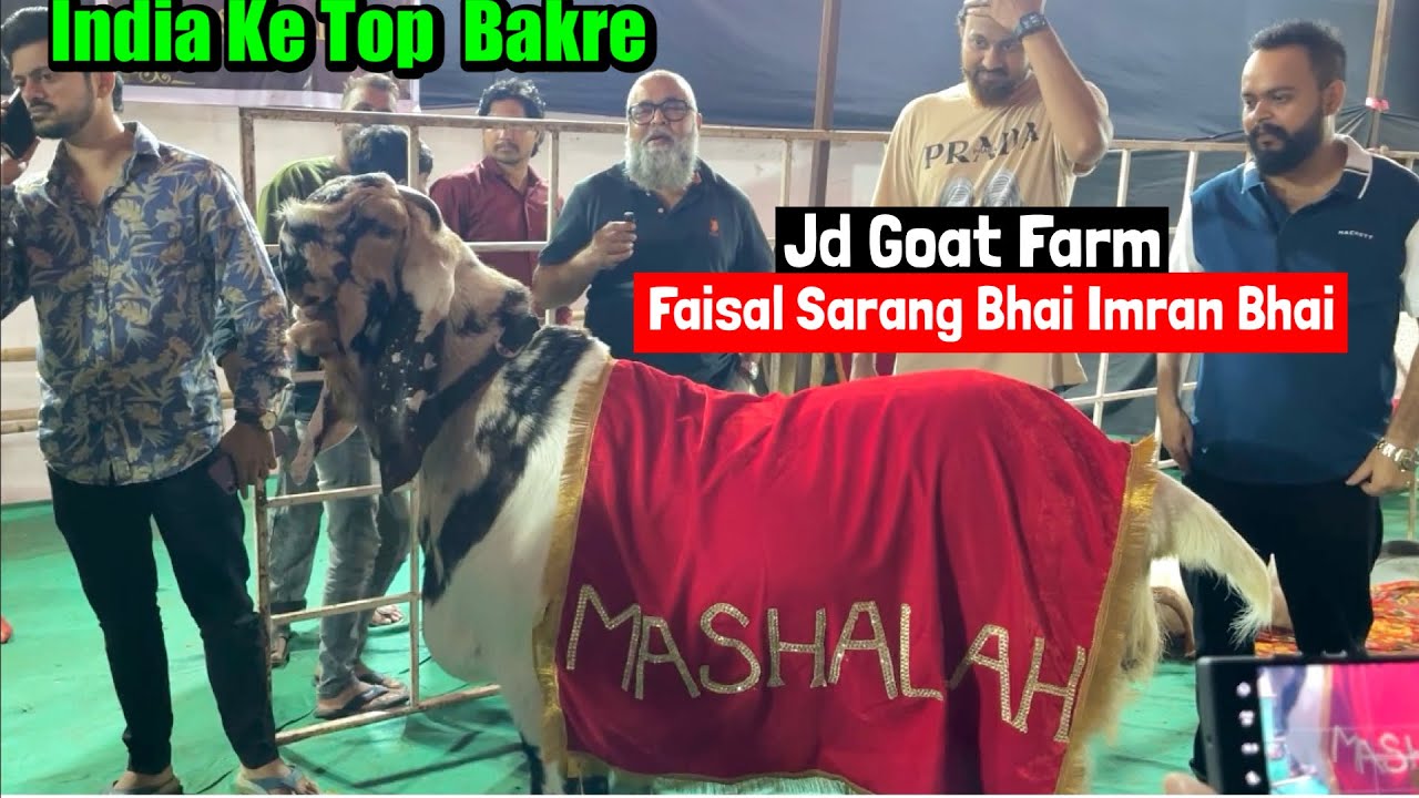India Ke Top Bakro Ka Collection At Faisal Sarang Bhai Kapadia nagar kurla Mumbai