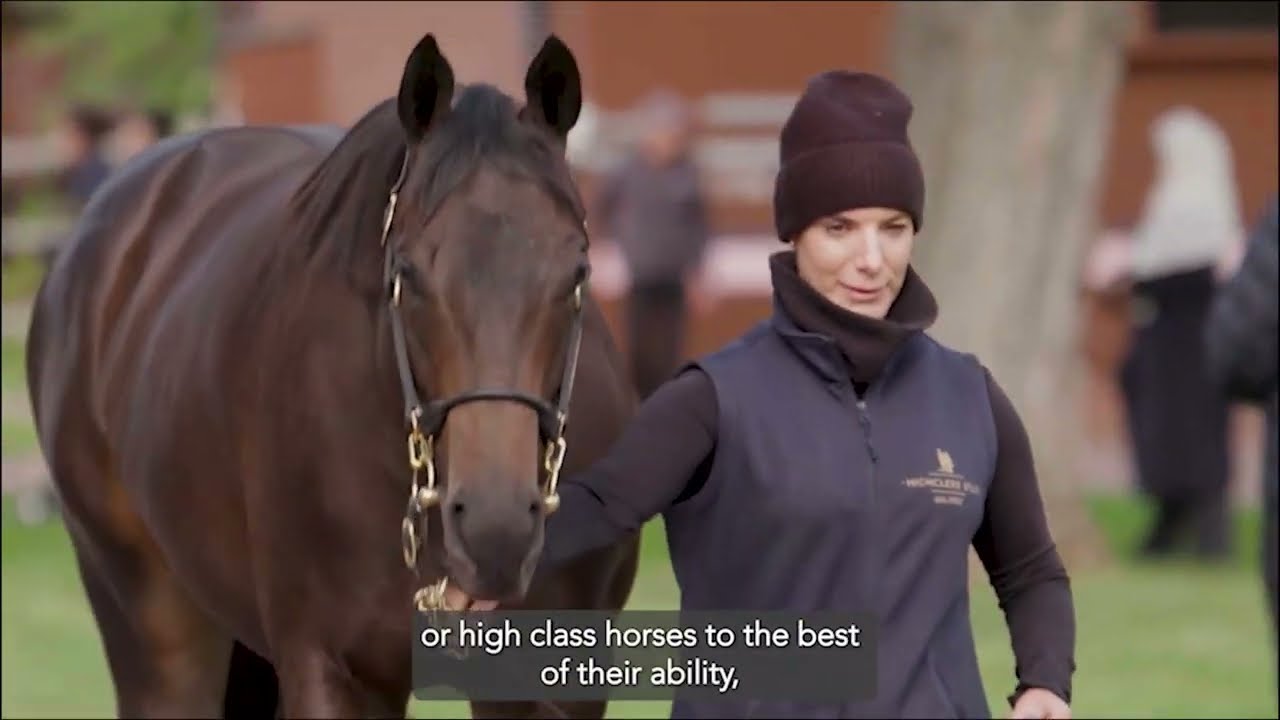 Invest In The Best: Bloodstock with a Global Legacy - Highclere Stud