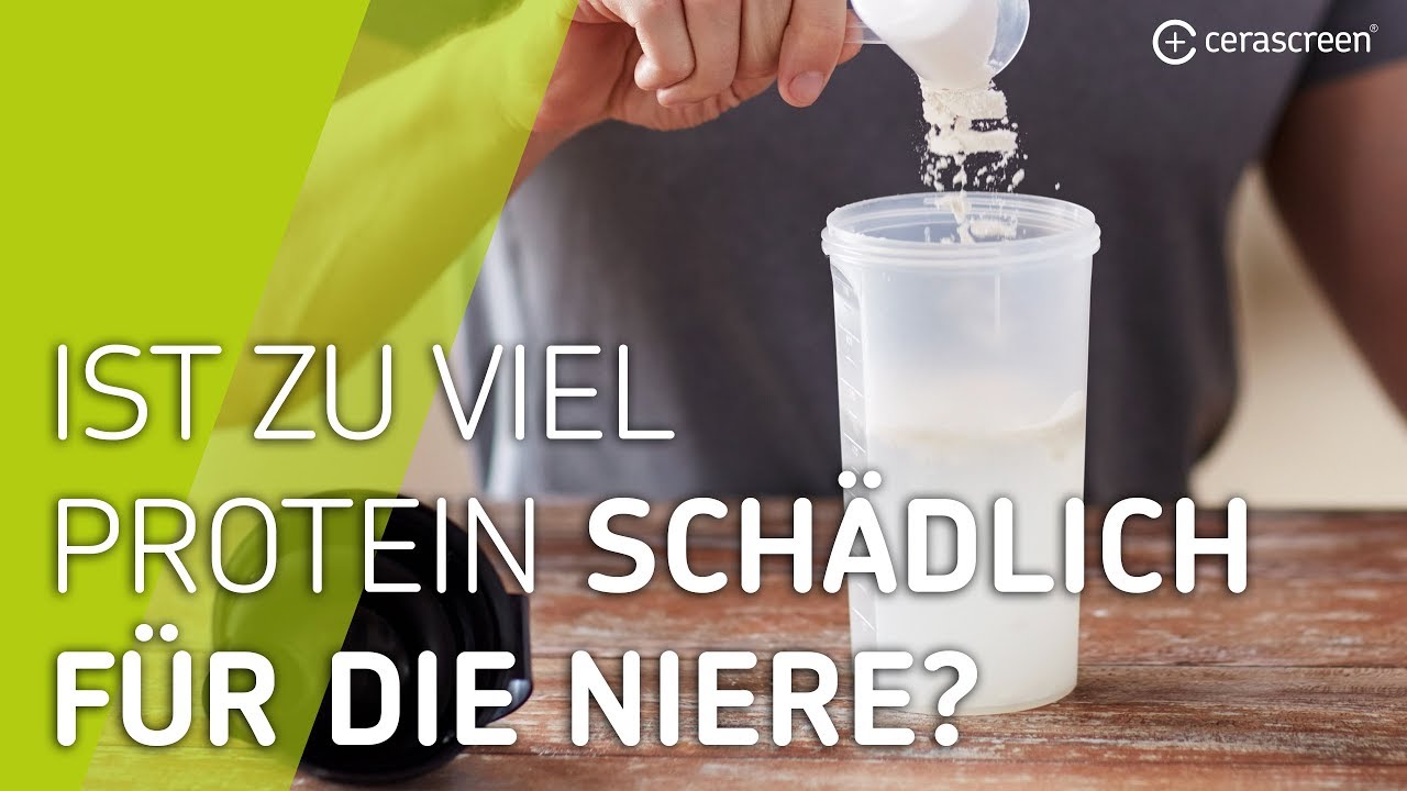Schaden zu viele Proteinen die Nieren? |  Protein und Nieren
