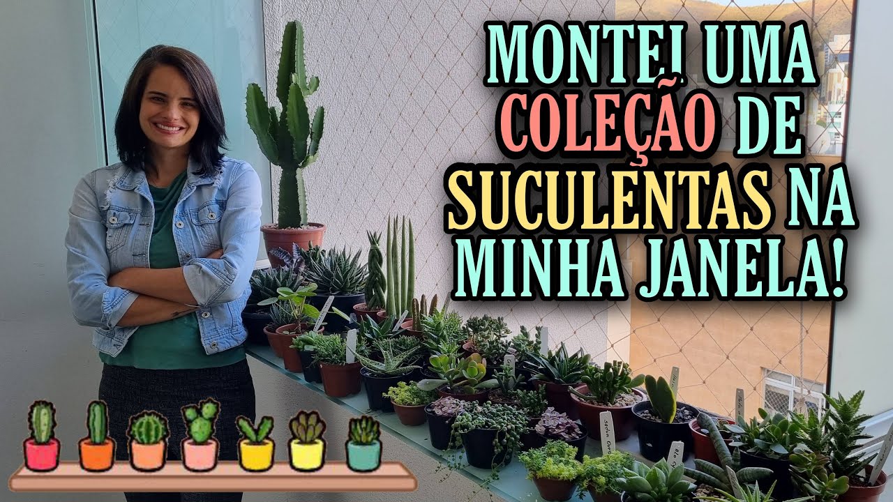 Aprenda a fazer uma linda coleção de SUCULENTAS de sombra NA JANELA