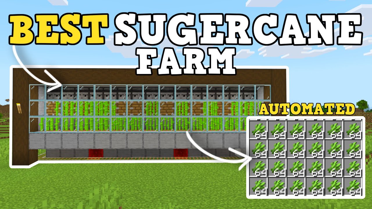 ЛУЧШАЯ АВТОМАТИЧЕСКАЯ ФЕРМА САХАРНОГО ТРОСТНИКА В MINECRAFT BEDROCK 1.21+!!