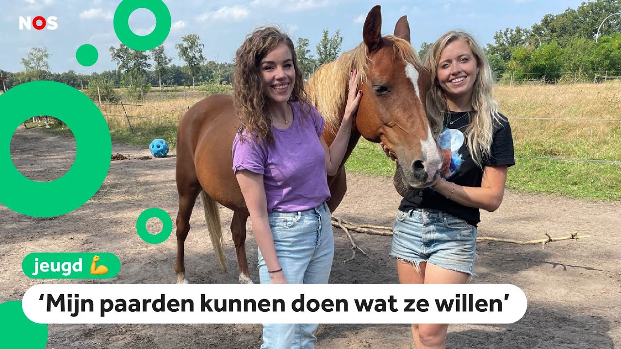 Fenna over Hoefwijzer, praten over paarden en fans ontmoeten