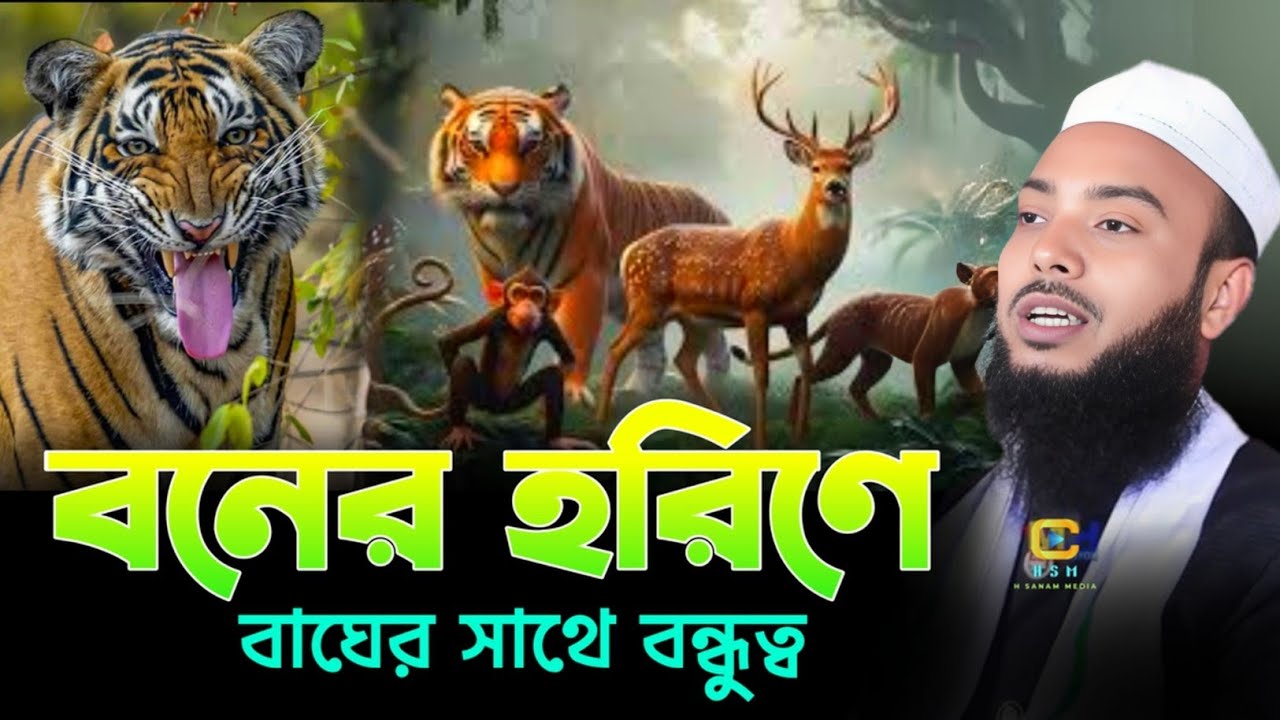 বা কেমন হরিণের বন্ধুত্বের কাহিনী || Full waz Anamul Haque || Anamul Haque cyber waz