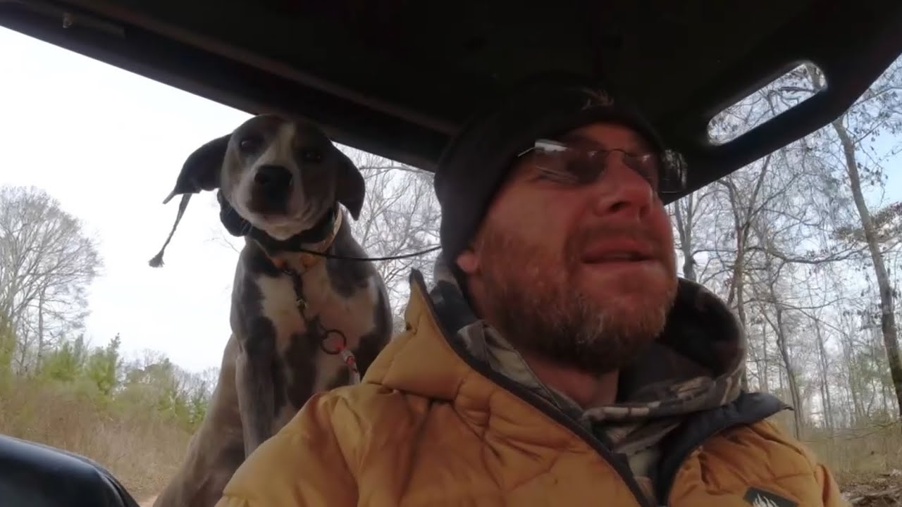 Training My Cur Dog To Tree A Racoon