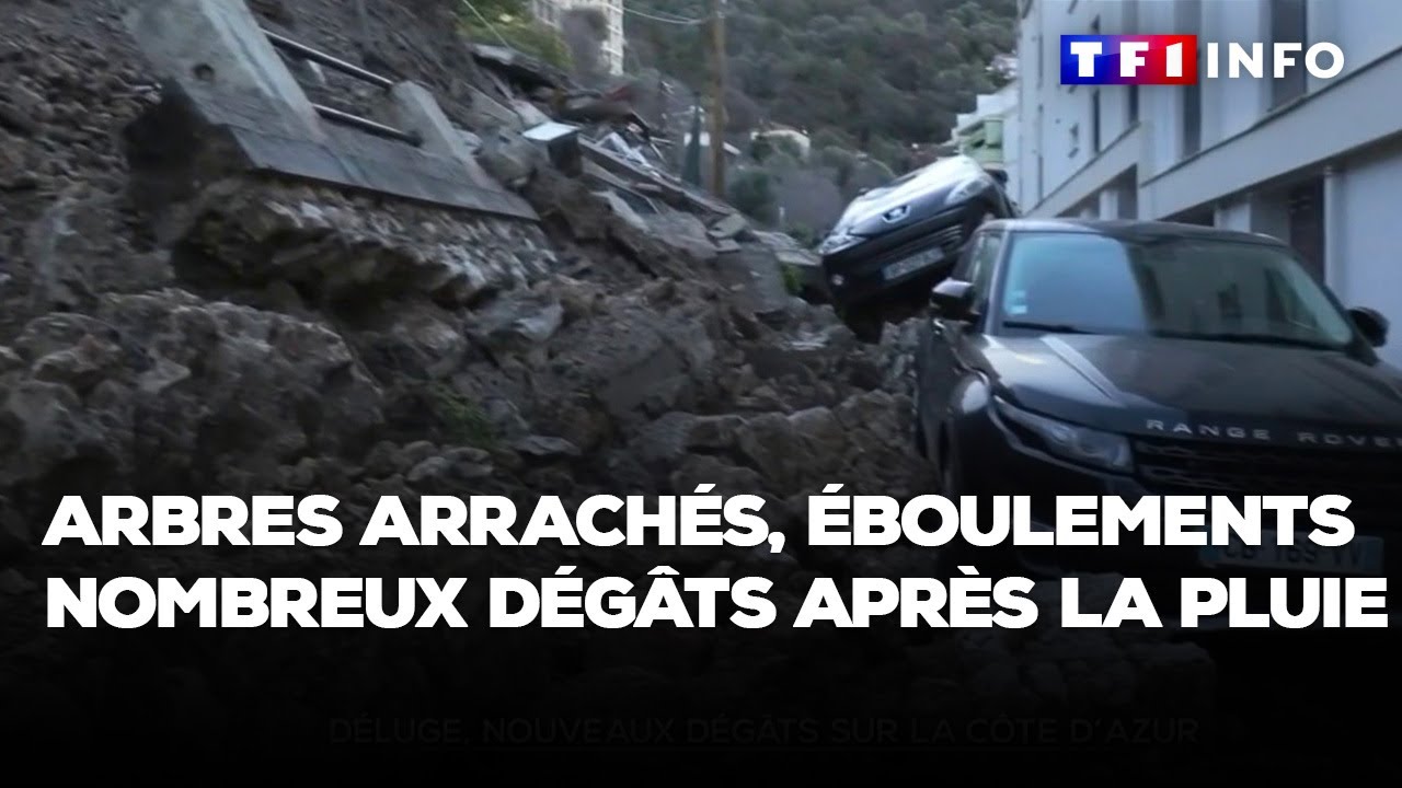 Arbres arrachés, éboulements, inondations… De nombreux dégâts après la pluie et le vent