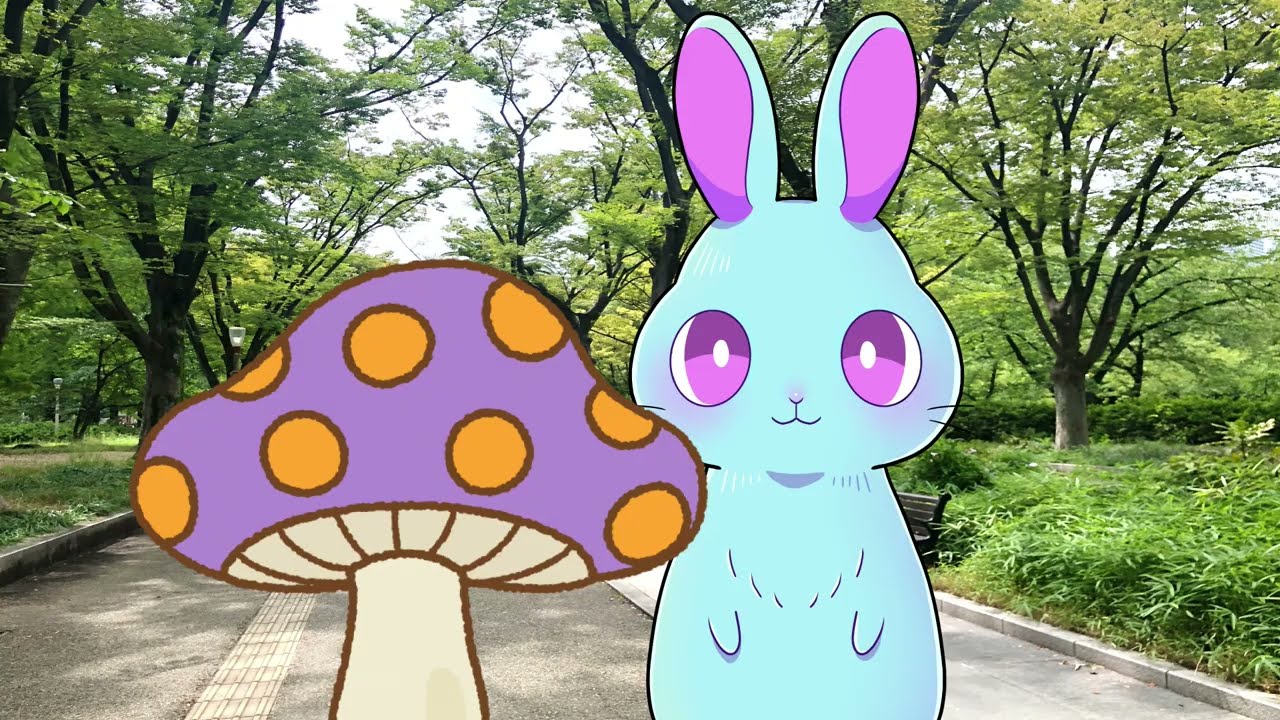 部屋んぽ・うさんぽ の注意点 #うさぎ #うさぎの飼育 #声優 