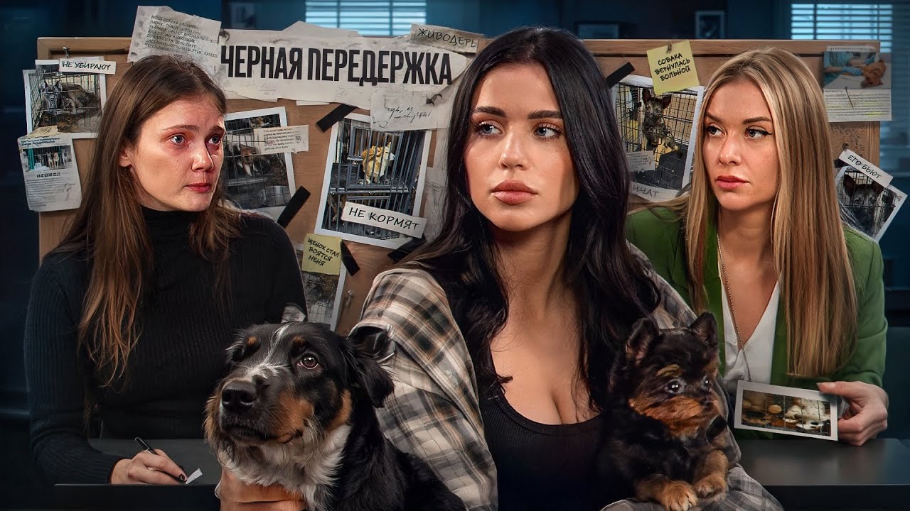 ЧЕРНЫЕ ПЕРЕДЕРЖКИ СОБАК: ERIN DOG CAMP и DOGTOWN