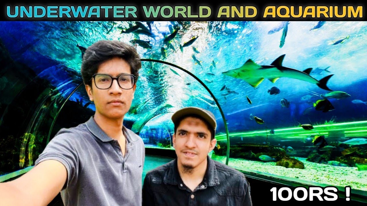 Underwater World At Rs 100 Is It Worth To Visit Full Detail Video | LivinOff Vlogs