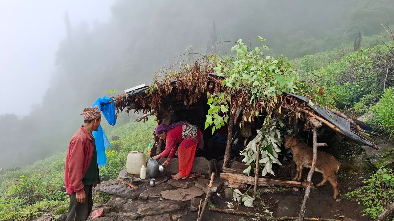 Naturally Peaceful And Beautiful Himalayan Mountain Village Life in Rainy Season || Rural Life Nepal