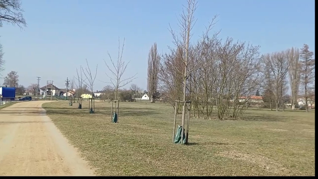 Réna