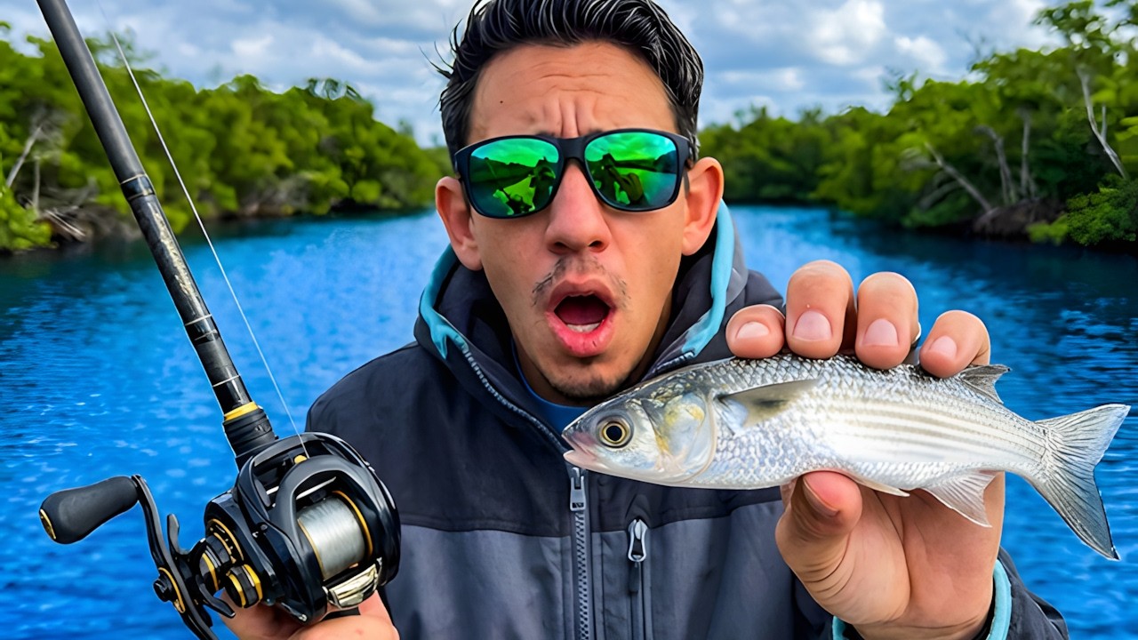 48 Hrs Fishing Seawalls With Live Mullet & NLBN's