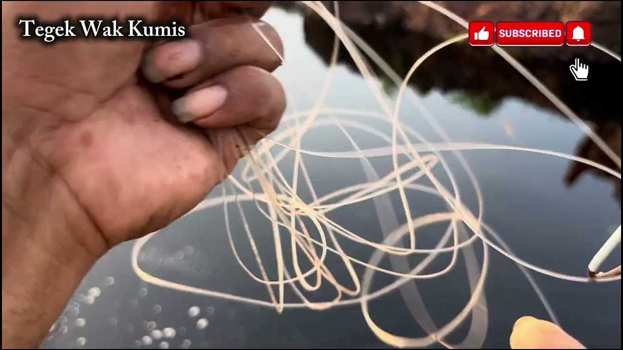 SPOT KEMATIAN KANAL 12, TRADISIONAL FISHING 👍👍👍