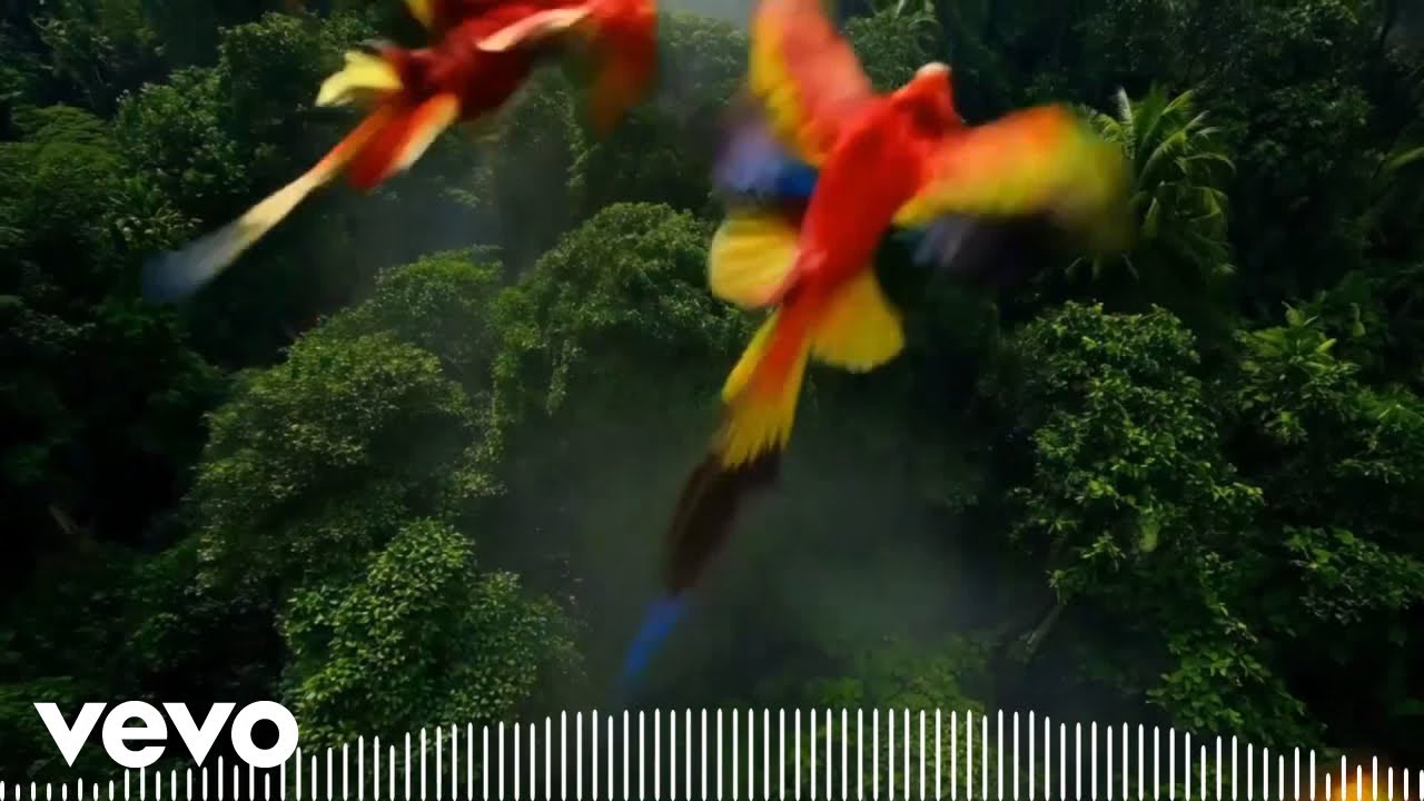 Billy Zain - Canopy Breath