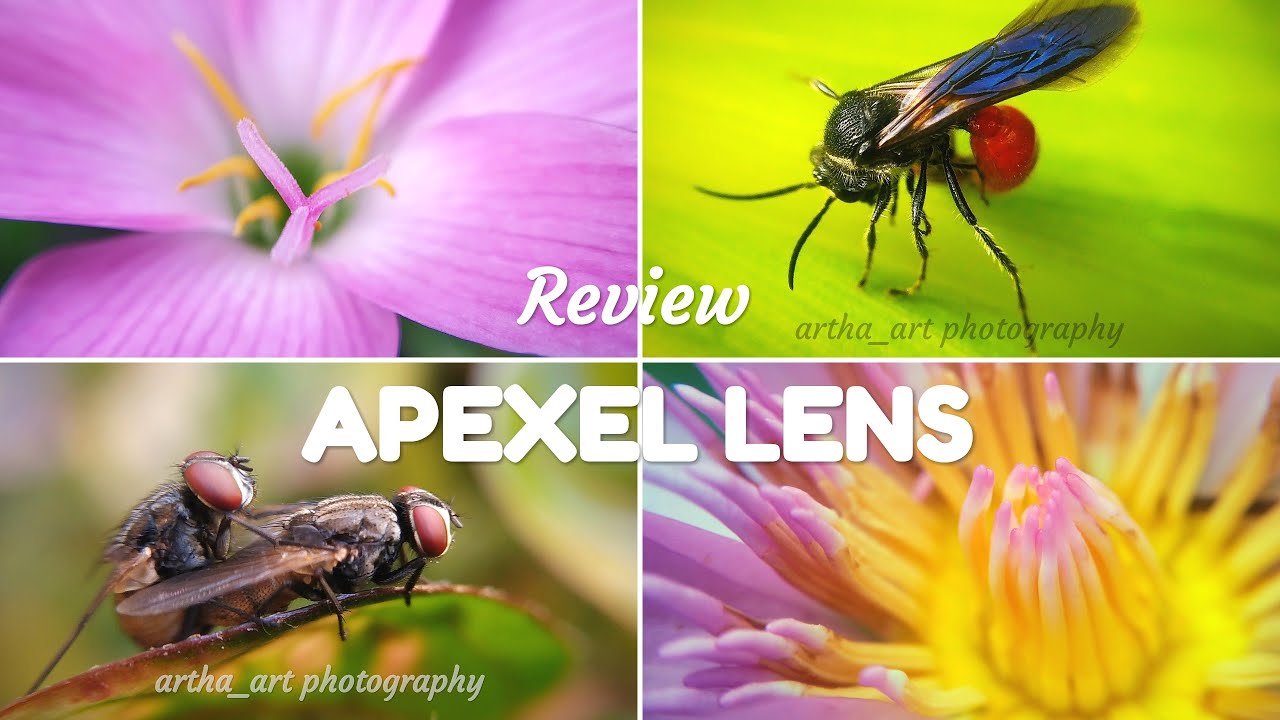Apexel Lens 5 in 1 | Lens for smartphone