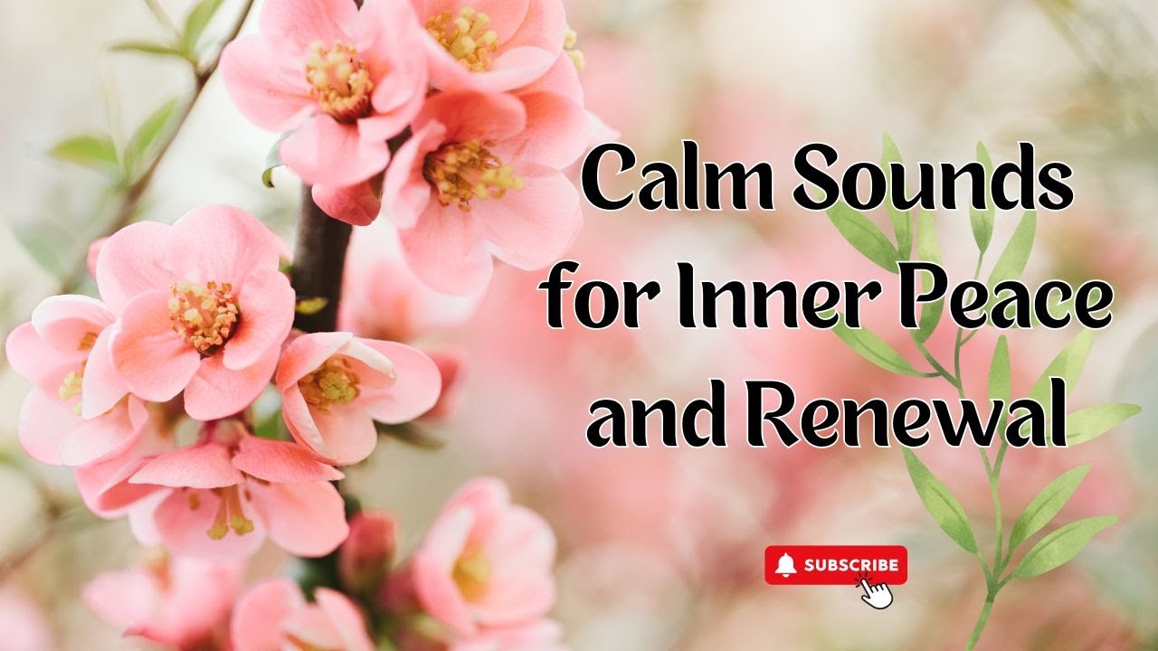 Tranquil Light &ndash; Calm Sounds for Inner Peace and Renewal