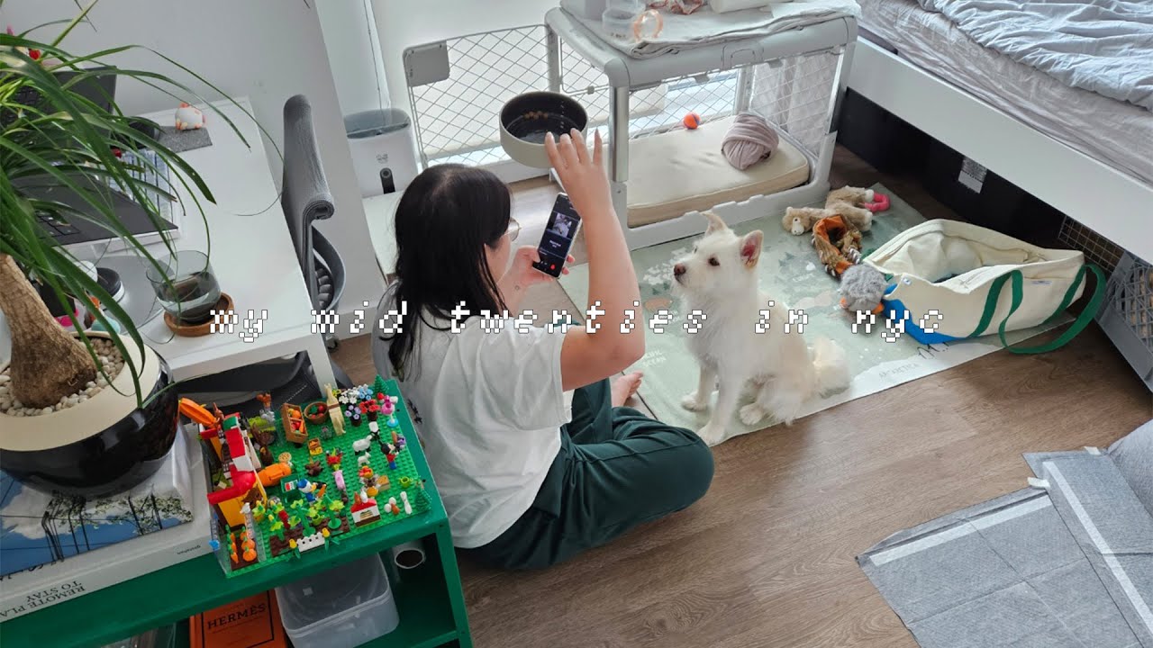 I ADOPTED A DOG FROM KOREA