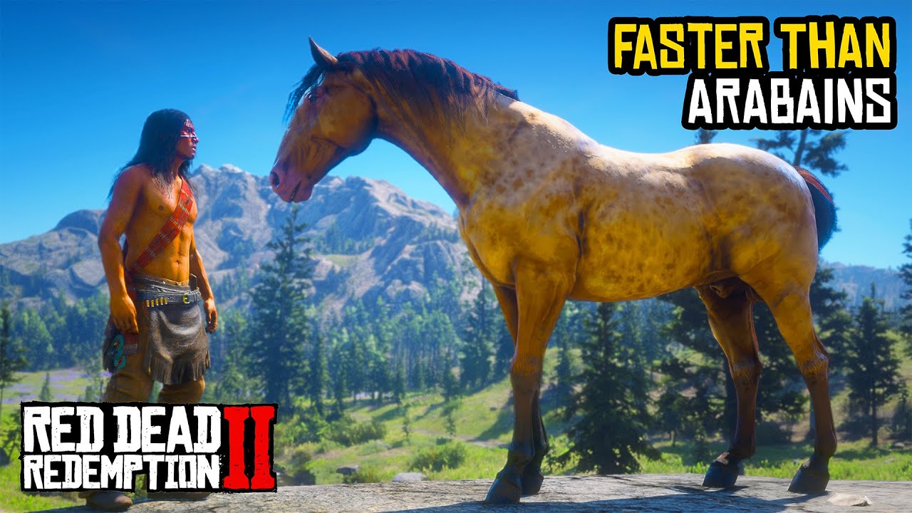 5 Horse Faster Than Arabains (Location & Rankings) - RDR 2